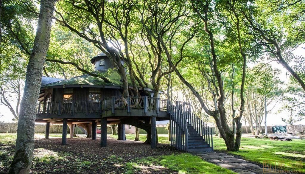 来苏格兰体验一下极具特色的树屋公寓酒店4