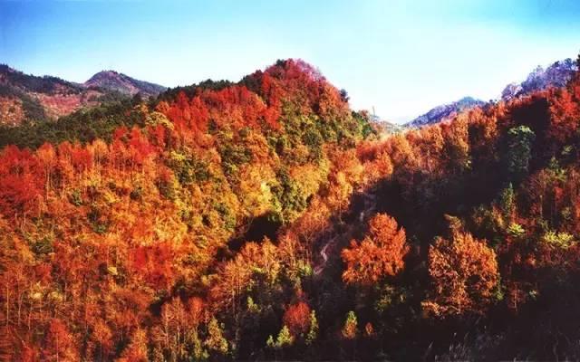 如何选择二世古旅游的最佳出游时间3