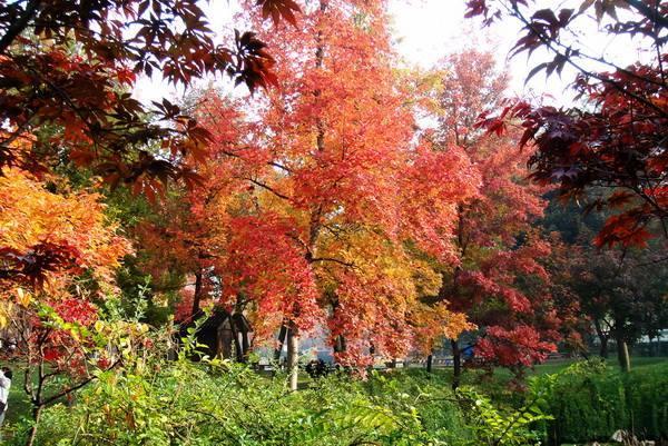 二世古旅游有哪些是值得要注意的事项5