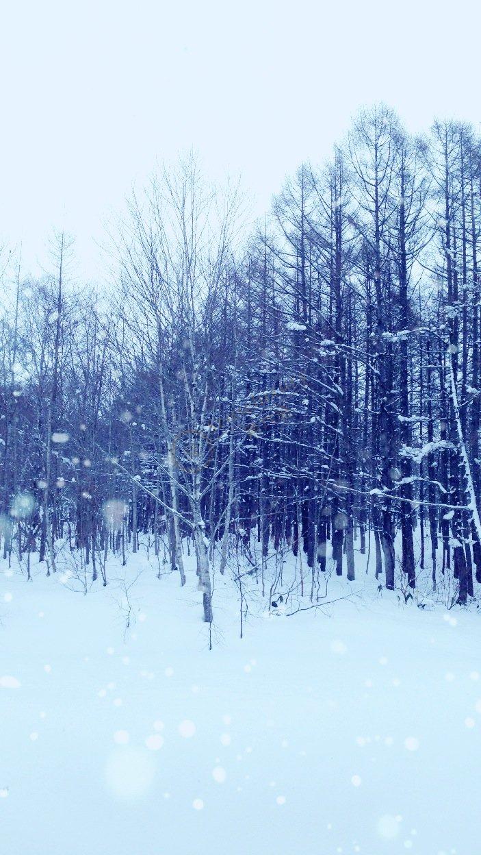 二世古除了滑雪之外还有哪些旅游景点4