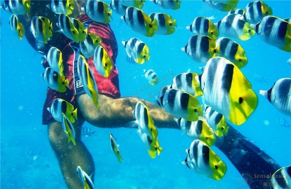 大溪地旅游最佳的季节时间段你知道吗？6