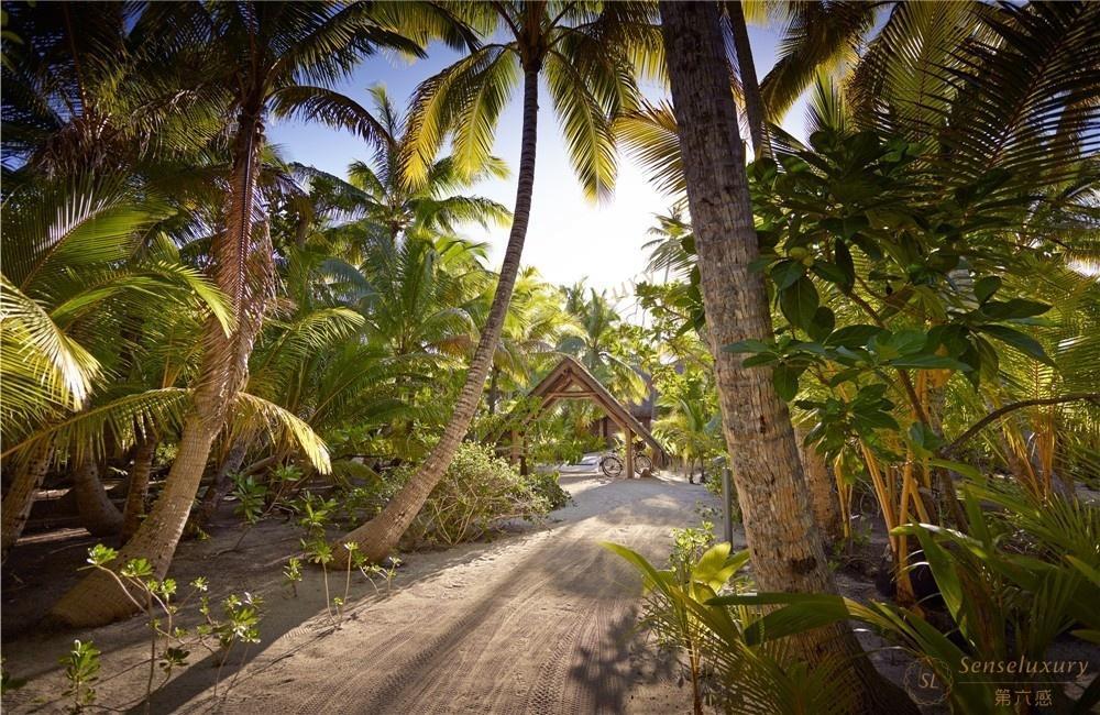 大溪地度假别墅，这些任你挑选！5