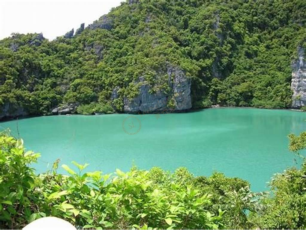 普罗旺斯体验之旅，顺带攻略大全5