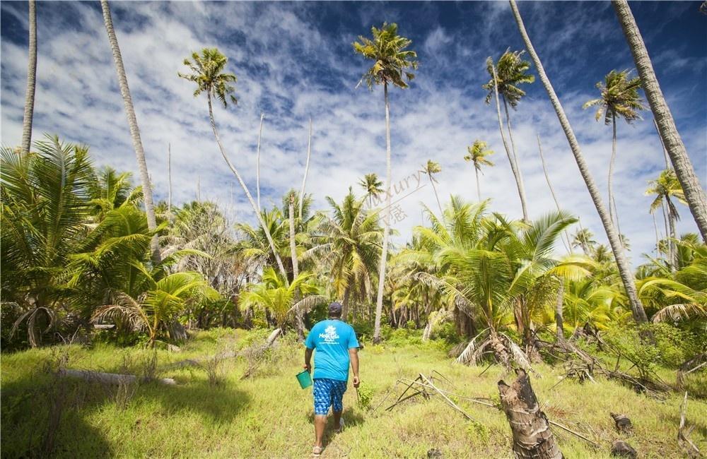 大溪地旅游必须提前了解这些注意事项3
