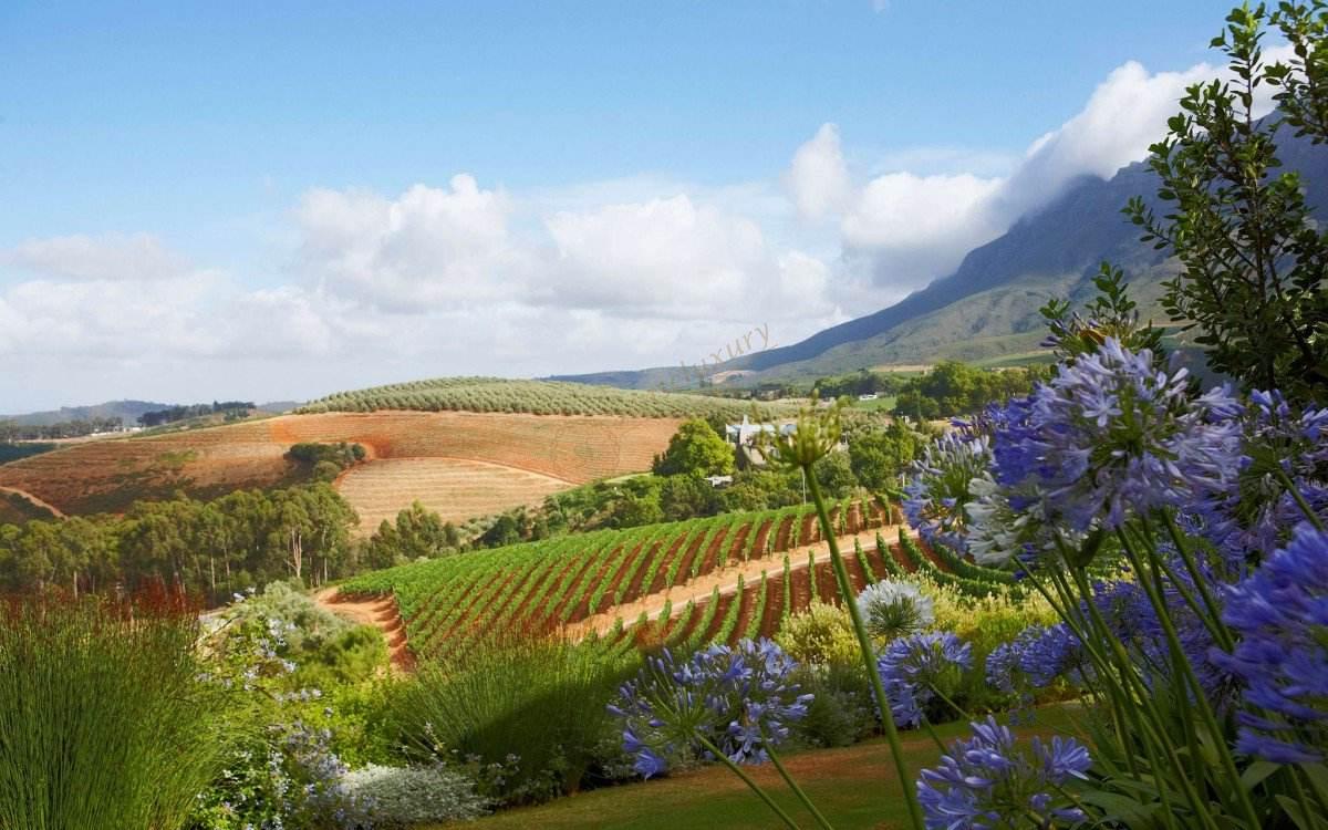 在开普敦，不可错过的景点与美食4