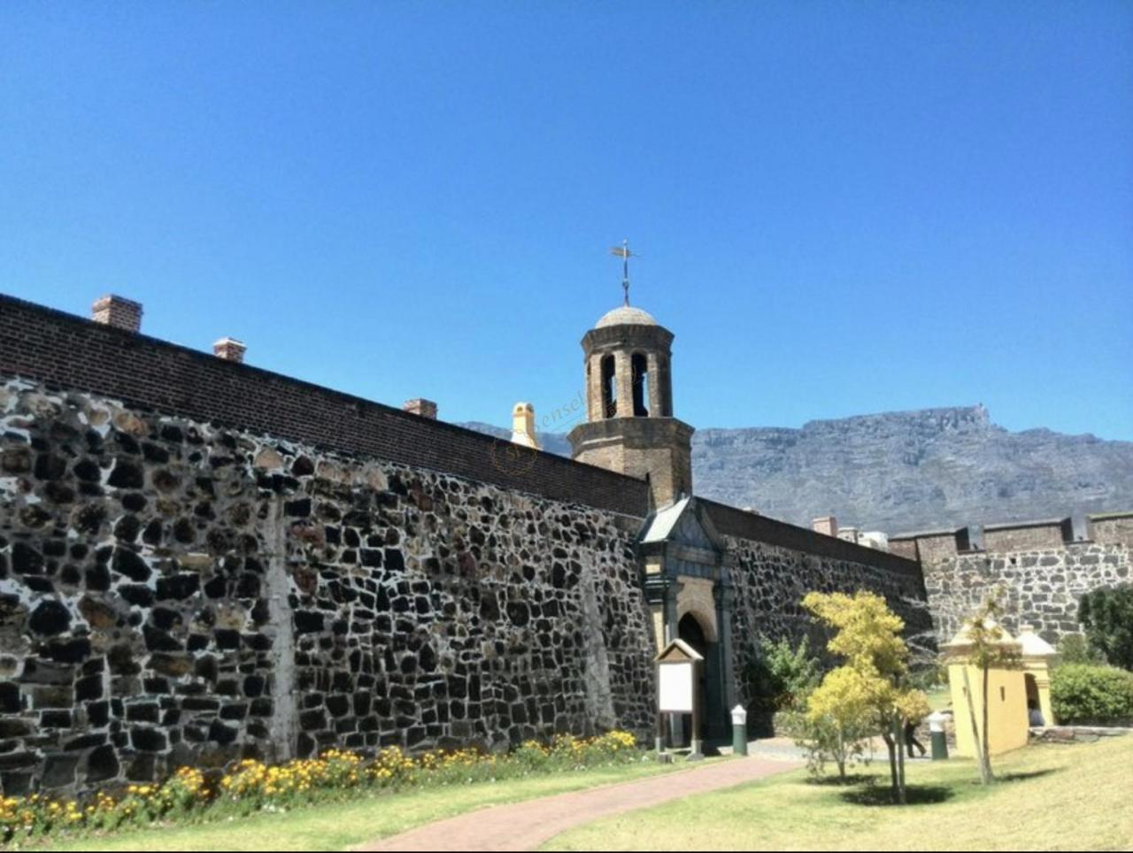 在开普敦，不可错过的景点与美食7