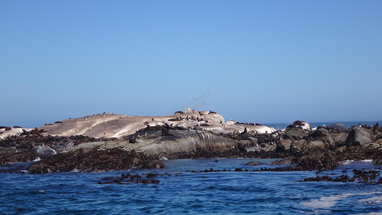 开普敦旅行之必打卡景点项目4