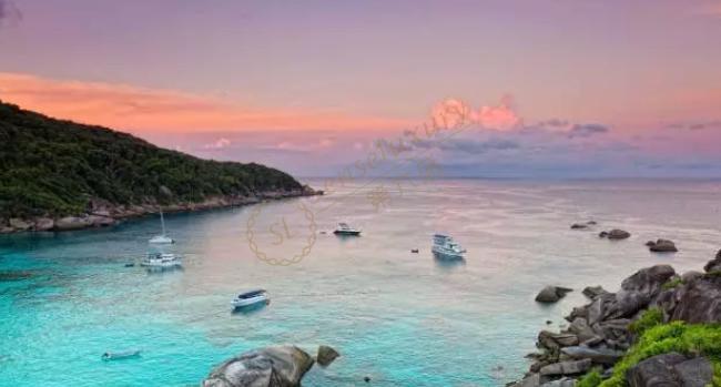 斯米兰岛一日游、两日游行程安排4