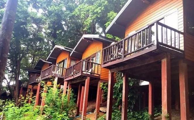 斯米兰岛一日游、两日游行程安排9