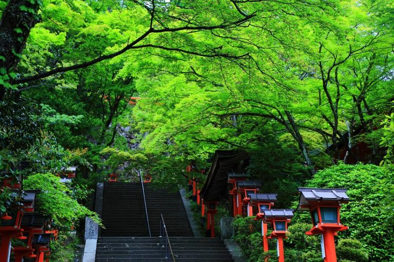 什么时候去京都旅行最佳？这篇攻略给你答案！2