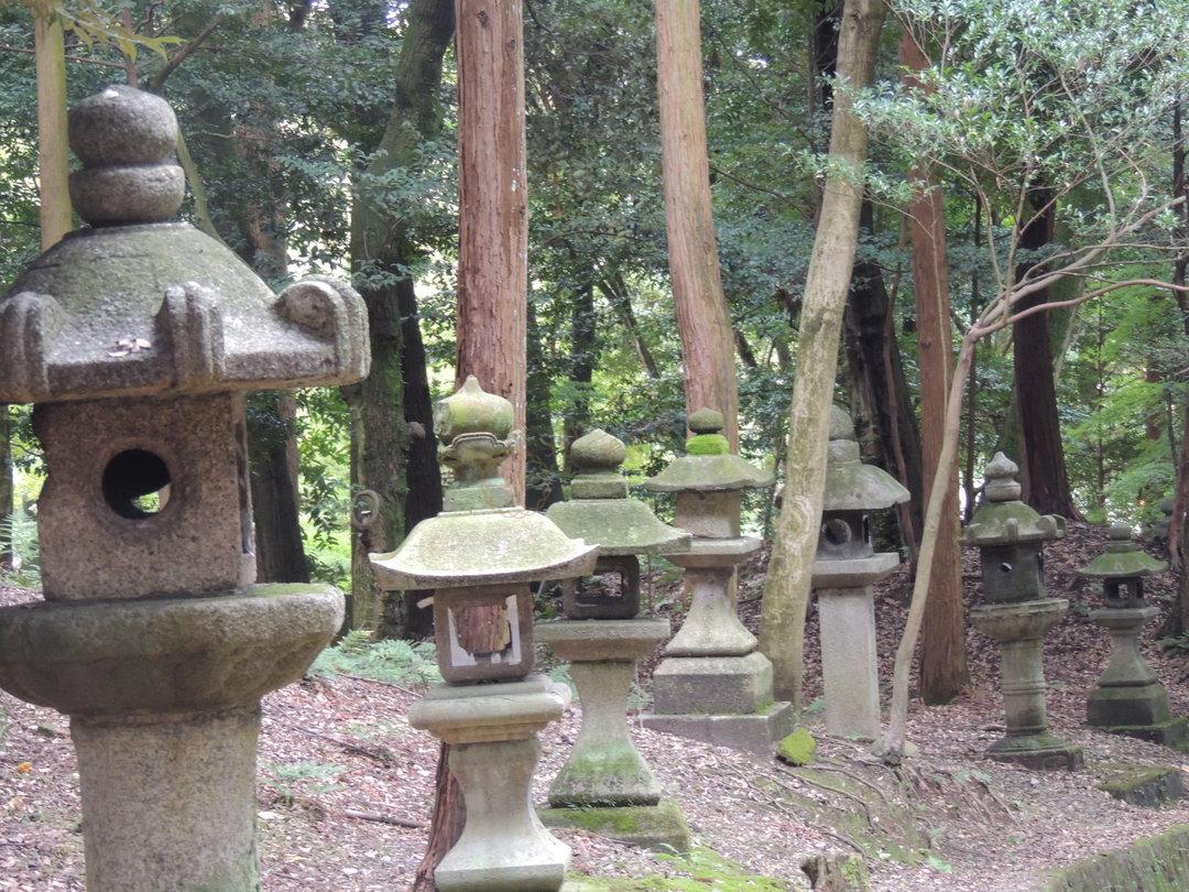 京都旅游那就先提前来了解一下这篇攻略吧2