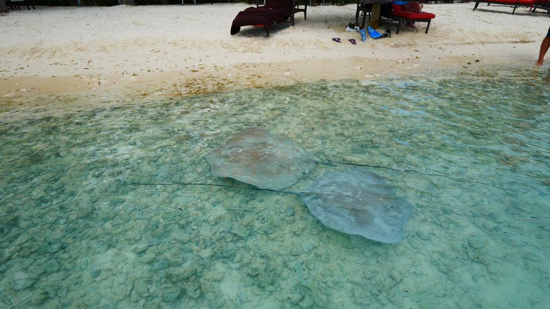 大溪地旅游景点大全，看看哪些是必游景点！2