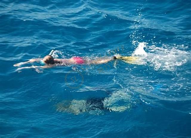 斐济旅游攻略，带上你的那个她去度个蜜月吧！5