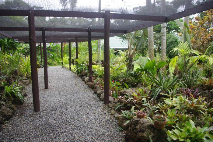 打卡斐济旅游的绝佳景点，这些地方不容错过2