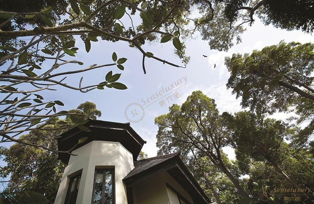 亲自体验总结了一篇马来西亚邦咯岛的旅游攻略5