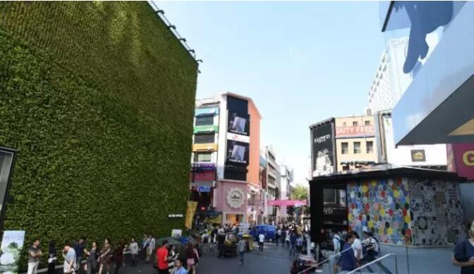 韩国首尔旅游实用攻略:一天之内游玩首尔18