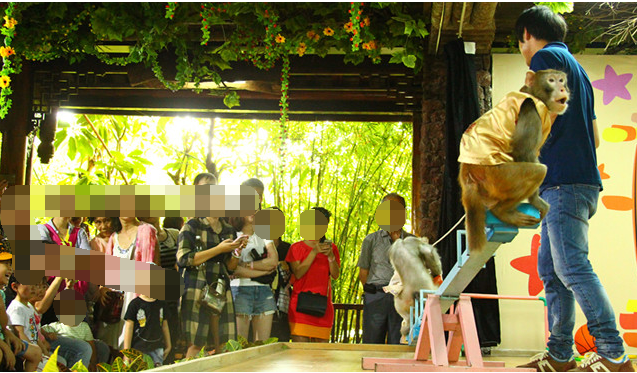 带孩子到三亚怎么玩? 三亚亲子游详细攻略5