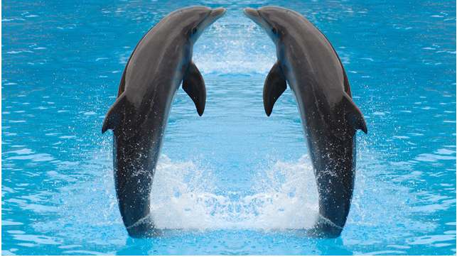 带孩子到三亚怎么玩? 三亚亲子游详细攻略7