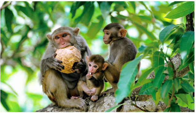 带孩子到三亚怎么玩? 三亚亲子游详细攻略8