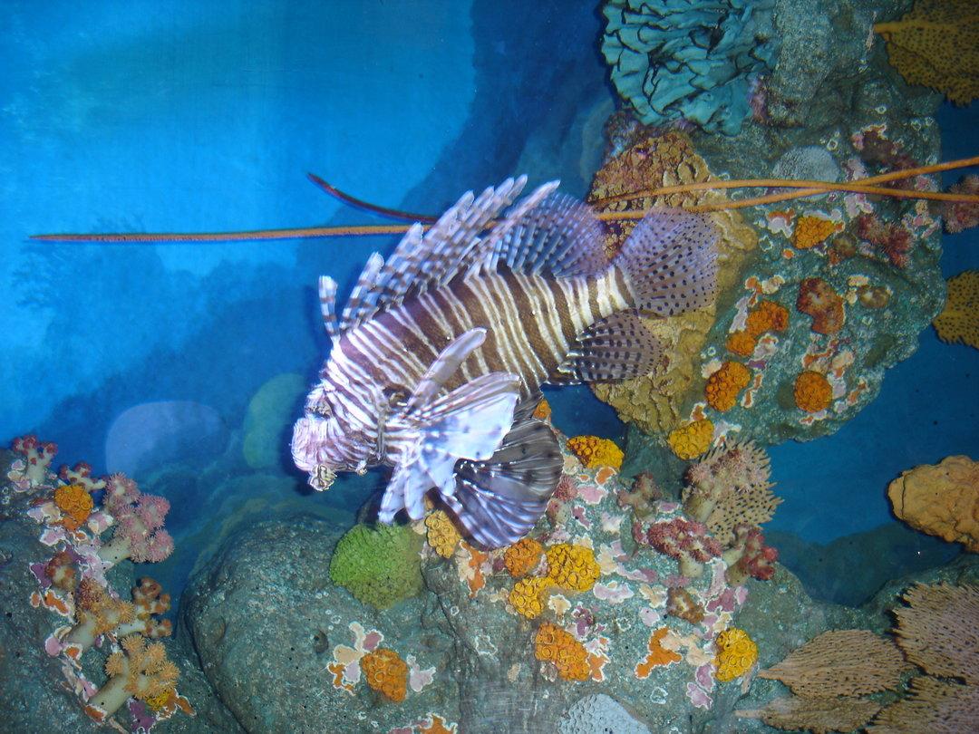 曼谷旅游必打卡景点，这些你知道吗5