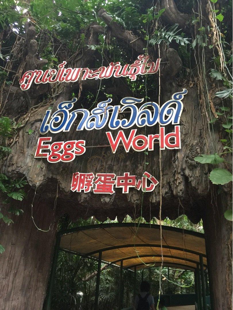 曼谷旅游必打卡景点，这些你知道吗6