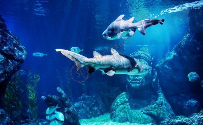 两天自由行开启曼谷之旅，体验不一样的曼谷特色6