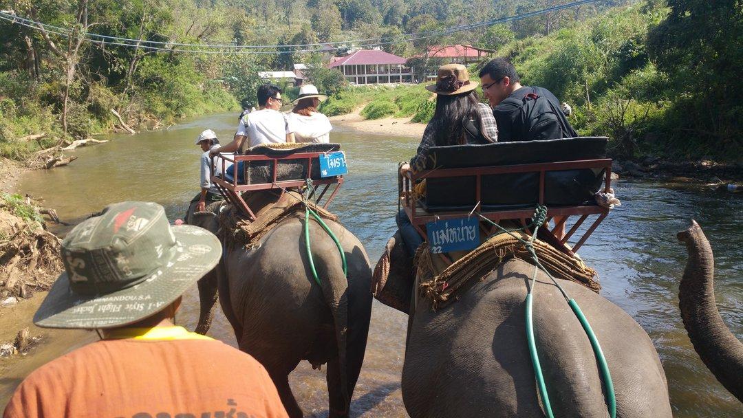 清迈旅游除了寺庙以外，这些景点也不容错过！6