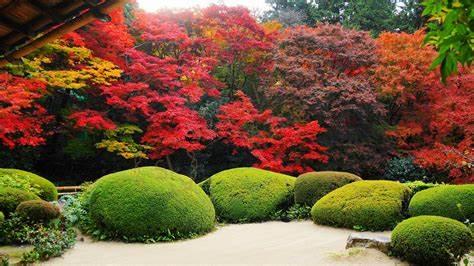 去京都旅游要注意哪些事情4