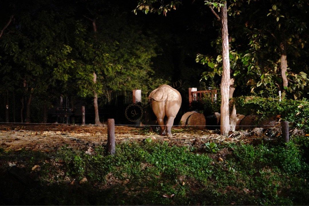 泰国清迈旅行，除了跟团，自由行也是很好的选择6