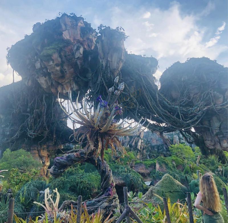 想回归童真，那么奥克兰就能满足你4