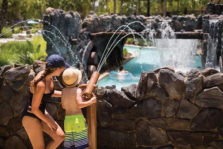 想回归童真，那么奥克兰就能满足你8