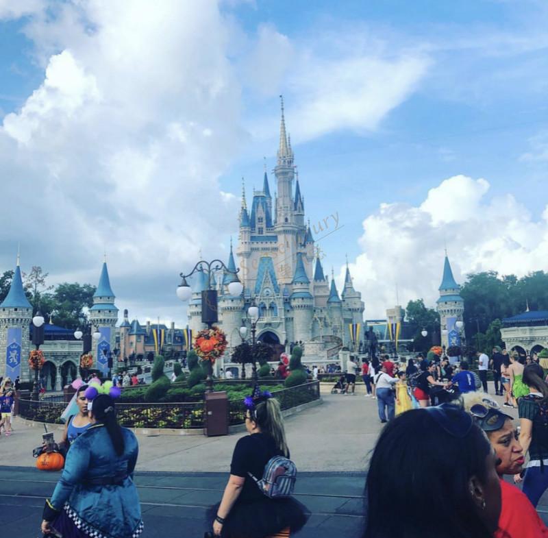 最大迪士尼乐园——奥兰多自由行攻略3