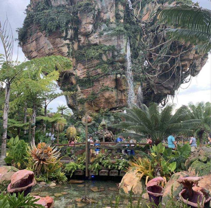 最大迪士尼乐园——奥兰多自由行攻略4