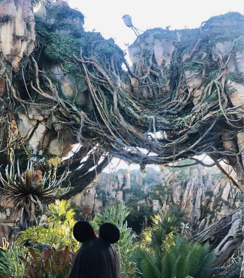 最大迪士尼乐园——奥兰多自由行攻略5