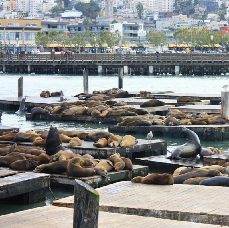 体验美国本土风情，旧金山一定是个不错的选择4