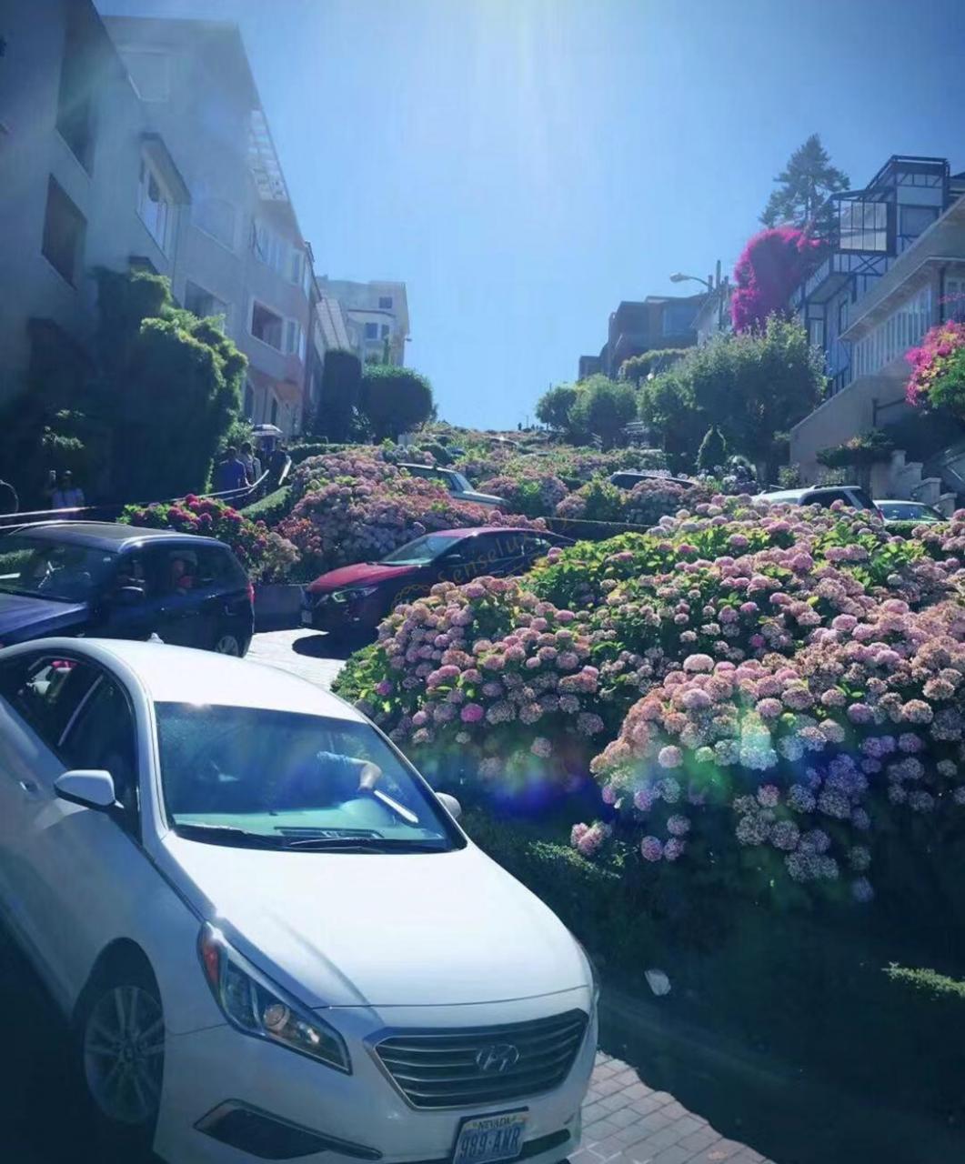 体验美国本土风情，旧金山一定是个不错的选择8