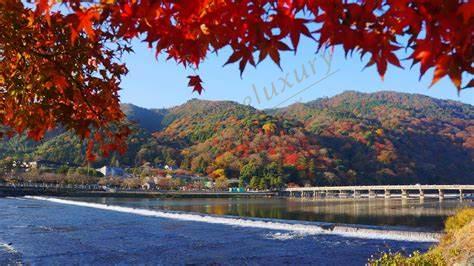 2019最新京都旅游攻略,带你玩转京都5