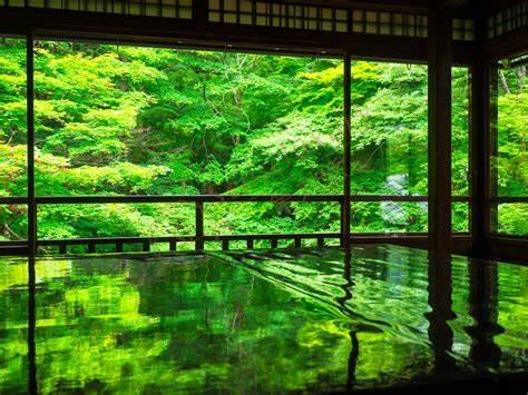 去京都畅玩，几月份最合适3