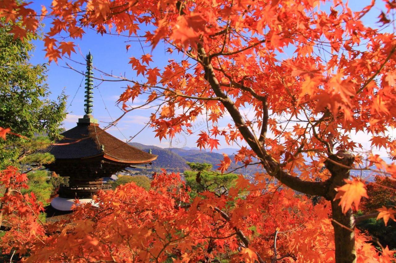 去京都畅玩，几月份最合适5