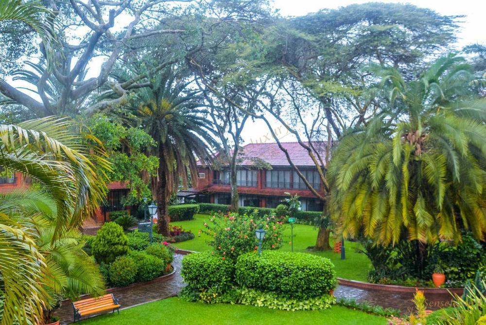 狂放野性的肯尼亚之旅，必读攻略~6