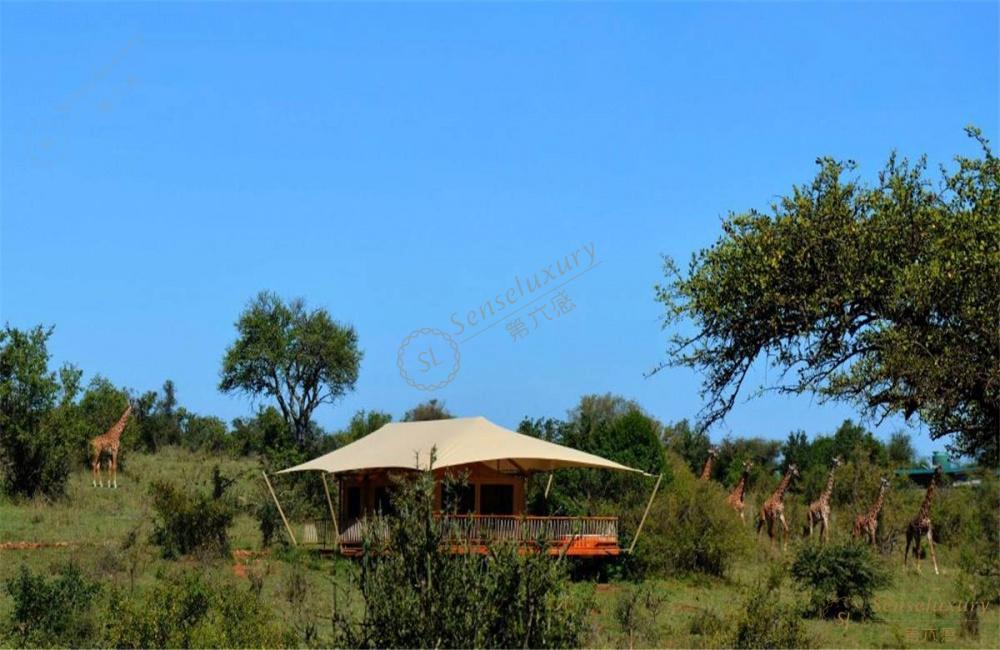 狂放野性的肯尼亚之旅，必读攻略~7