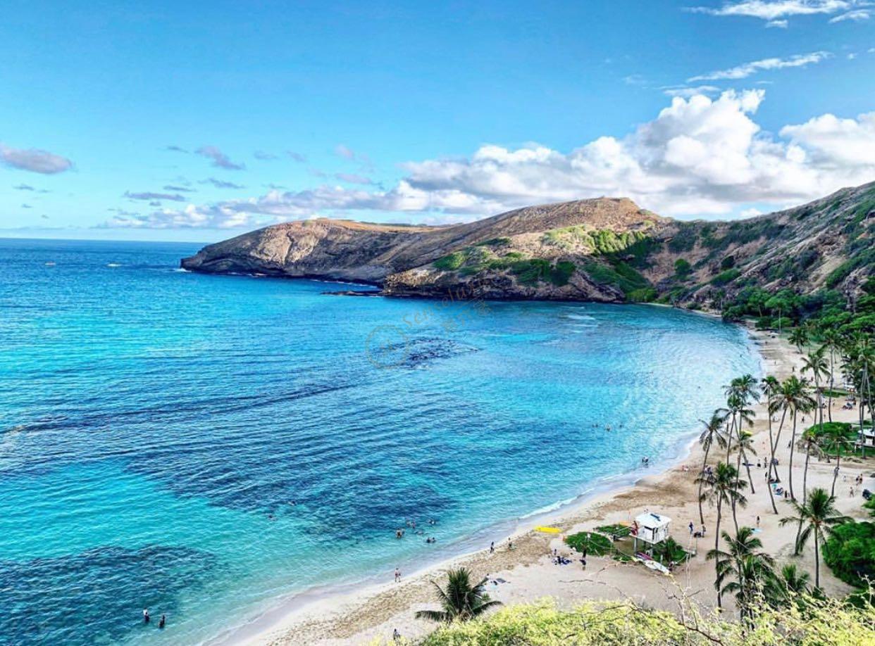 夏威夷有什么比较好的度假方式1