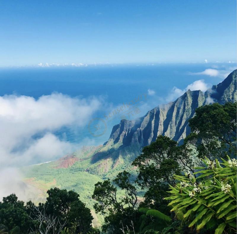 夏威夷有什么比较好的度假方式6