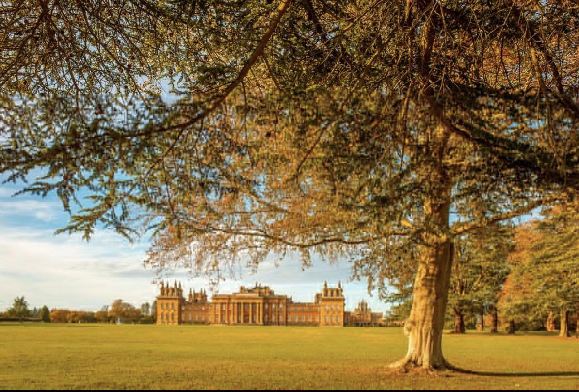 打卡文艺古朴的小镇——牛津6