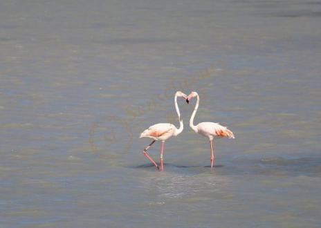 米兰逛吃大推荐2