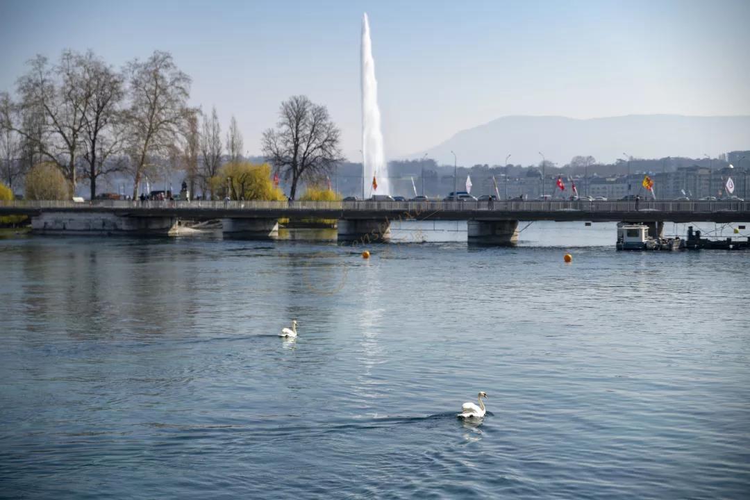 日内瓦攻略之看不完的美景及尝不尽的美食2