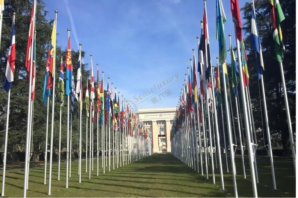 日内瓦攻略之看不完的美景及尝不尽的美食4