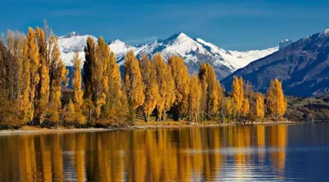 湖畔小镇瓦纳卡游玩有哪些需要注意呢？1