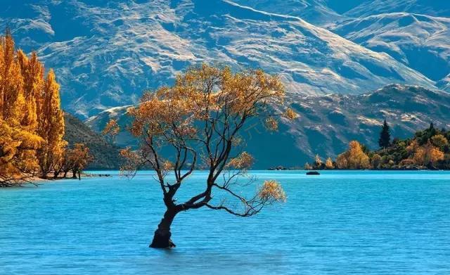 湖畔小镇瓦纳卡游玩有哪些需要注意呢？2