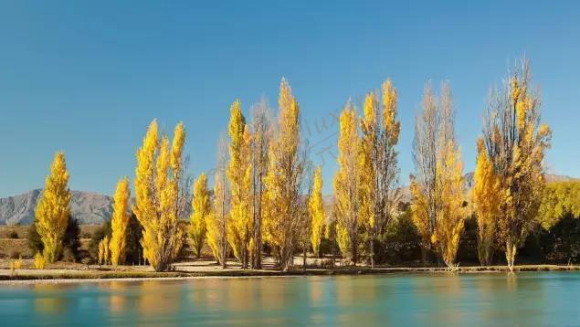 湖畔小镇瓦纳卡游玩有哪些需要注意呢？4